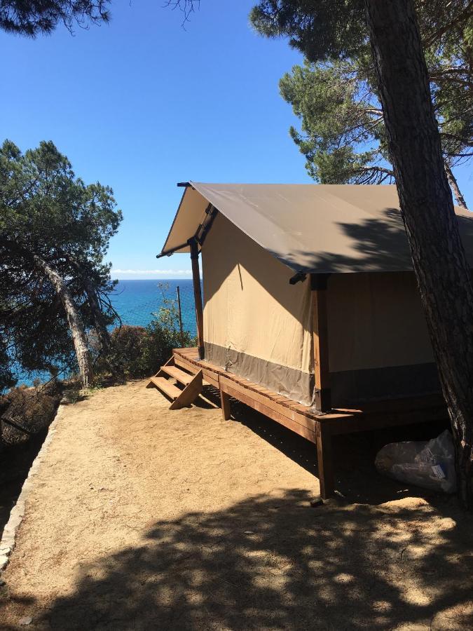 Camping Kanguro