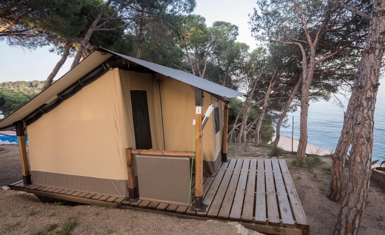 Kanguro Sant Pol De Mar